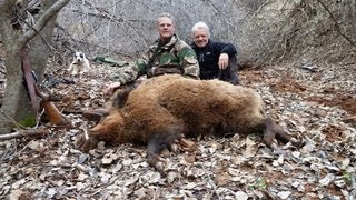 2012 WILD BOAR (SANGLIER) ATTILA HUNTING (Chasse) IN TAJIKISTAN by SELADANG