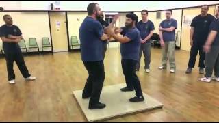 Wing Chun: Chi Sao Board (2)