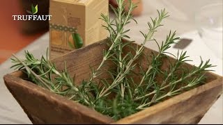 Comment faire du sirop de romarin ? - Jardinerie Truffaut TV