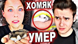 ХОМЯК ЛАКИ УМЕР ?ПОСЛЕДНЕЕ ВИДЕО с хомяком ЛАКИ ? Anny Magic Family