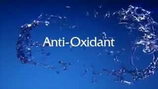 Why Kangen Water In 20 Minutes