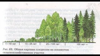 Саморазвитие экосистемы. Биология 9 класс.