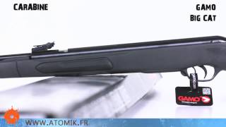 GAMO BIG CAT