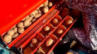 Πατατοσπορέας potato planter Κελίδης Βασίλειος