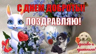 Прикольное поздравление С Днем Доброты?всемирный день доброты❤️видео поздравление с днем доброты
