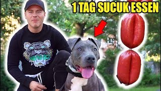 1 TAG lang mit meinem HUND nur SUCUK Essen !!! ?? ( EXPERIMENT )