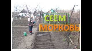 Два способа посева моркови