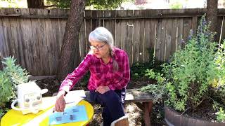 A Bit About Burs with Laura Roehrick