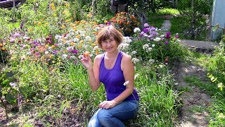 Снова дача. Что выросло, а что не выросло.