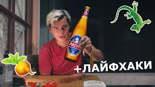 Тайские Байки / Купаемся голые, Заблудились / Пиво Archa