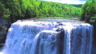 Вода колыбель жизни и напитки компании NSP
