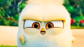 The Angry Birds Movie 2 International Trailer (2019) HD