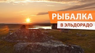 Ловля хариуса и кумжи. НАШЕЛ ЭЛЬДОРАДО в тундре!