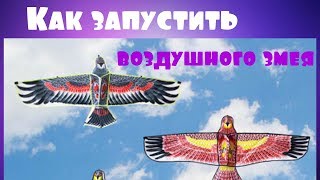Инструкция.Как и где запускать воздушного змея. Кайт