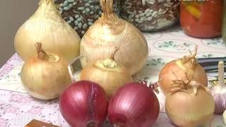 Дачные советы 17.11.2016. Итоги уходящего сезона. Подготовка почвосмеси. Безрассадные сорта томатов