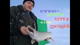 Коргалжынский заповедник! Очередной выезд на озеро Исей! И СНОВА ОТОРВАЛИСЬ ПО ОКУНЮ!!!! ФИЛЬМ 1