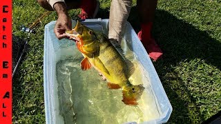 MONSTER FISH KEEPERS AQUARIUM! Mutant Fish! New Pet Exotic Pool Pond Transport