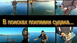 В поисках судака. Тесты зимних "мультов". Salmo Elite Ice Mult 5 и  Salmo Diamond ICE MULTI .