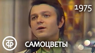 Ансамбль "Самоцветы" "Там, за облаками" (1975)