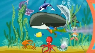 Морские животные.  Развивающий мультик для детей (мультфильм)