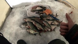 Зимняя Рыбалка!Белоярское водохранилище,ловля крупного окуня,плотвы и леща!Глухозимье