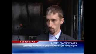 Челябинск крематорий для животных