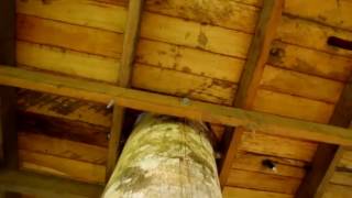 Treehouse Lodge in the Peruvian Amazon (by Animal Planet)