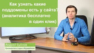 Как узнать какие поддомены есть у сайта (аналитика бесплатно в один клик)