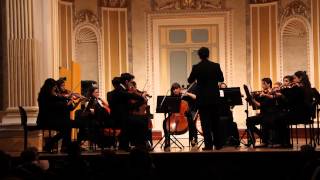 Orquesta de Cámara Promúsica - Serenata Española, J. Malats