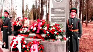 Синявинские высоты (стихотворение)