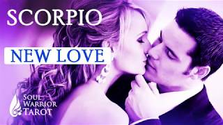 ?SCORPIO NEW LOVE SOULMATE FEBRUARY 2020  Soul Warrior Tarot