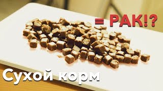 Как сухие корма вызывают онкологию