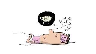 À quoi ça sert de dormir ? - 1 jour, 1 question