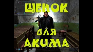Народная солянка 2016. Щенок для Акима.