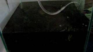 Долив воды через капельницу