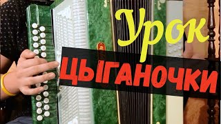 Цыганочка на гармони. Видео урок . Частушки . Тизер. Отрывок