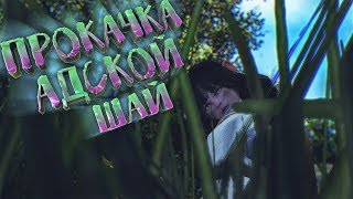 Black Desert - ?СТРИМ? НУБ В BDO НОВЫЙ КЛАСС ШАЙ ПРОКАЧКА НАЧАЛО