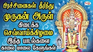 பிரச்சினைகள் தீர்ந்து முருகன் அருள் கிடைக்க செவ்வாய்க்கிழமை  இந்த பாடல்களை காலை மாலை கேளுங்கள்