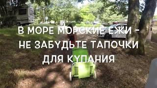 Кемпинг Зелена лагуна в Хорватии, пляж, часть 3