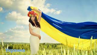 Оптовые цены на мёд в Мире Цена мёда в Украине 2020 Китай.Аргентина.Украина.Индия.Вьетнам.Мексика