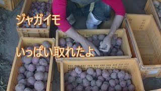 消費者だったころは見えてなかった作業