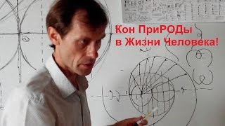 КОН ПРИРОДЫ в Жизни Человека! 06.09.16