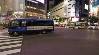 【4K】Shibuya Tokyo