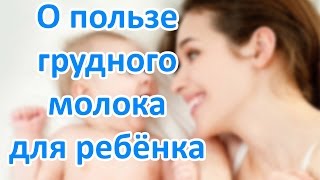 Чего лишается новорожденный без грудного молока? | Грудное вскармливание | "До и После Родов"