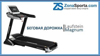 Беговая дорожка Laufstein Magnum