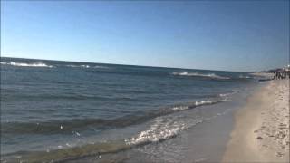 Panama City Beach shark feeding frenzy 11/22/2015