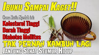 SETELAH NONTON VIDEO INI, ANDA AKAN MENCARI TANAMAN INI HINGGA DAPAT