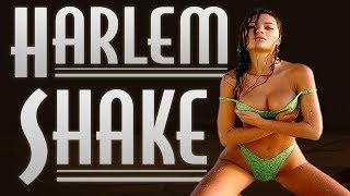 Harlem Shake sur Dofus [HD]