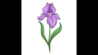 How to draw flowers Iris/ Как рисовать цветы Ирис.