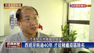 【民視全球新聞】非洲豬瘟攻陷歐亞 中國全域幾乎淪陷